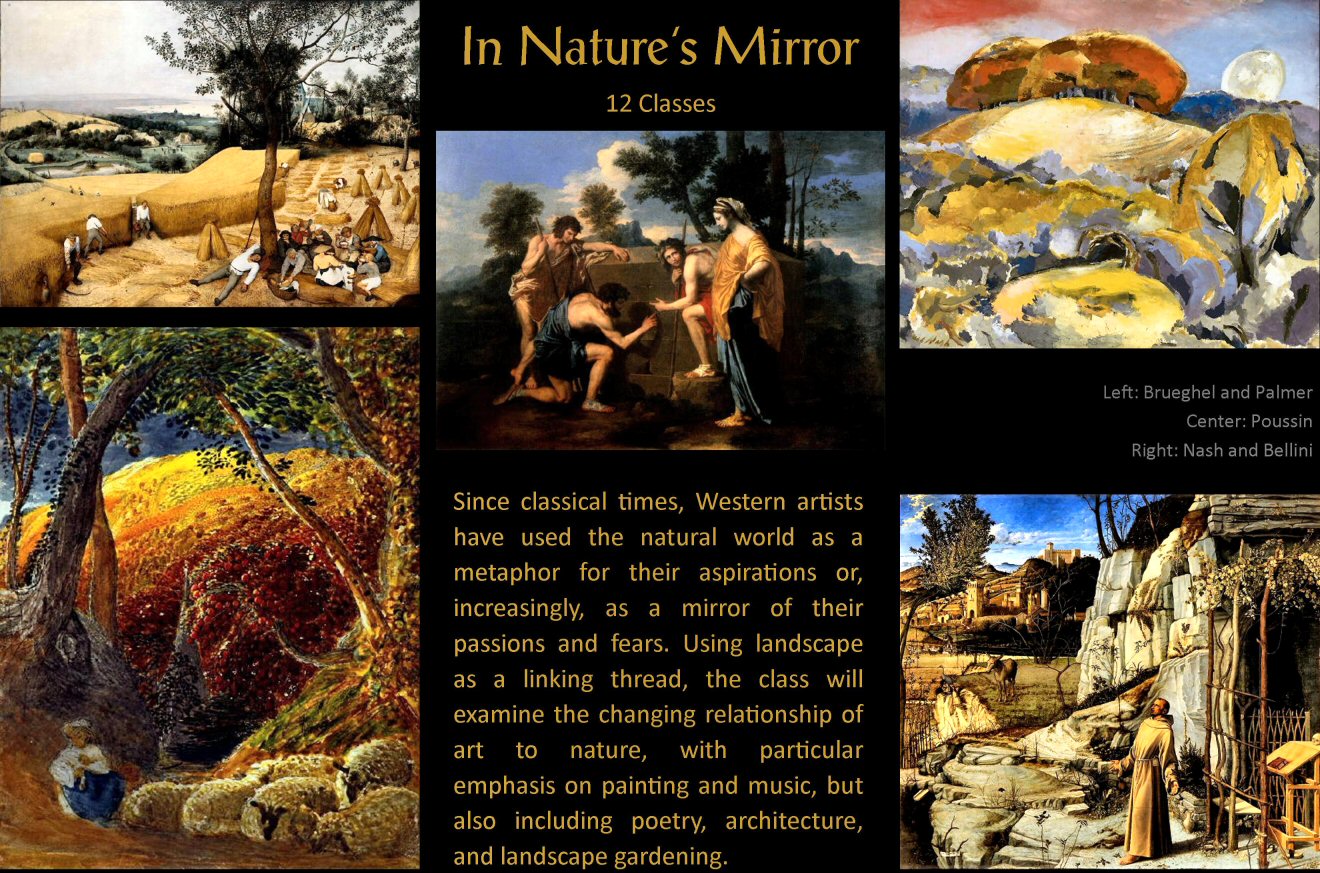 Nature Mirror splashscreen